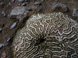 Visite de la petite cousine !